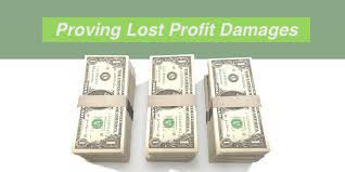 proving defending lost profit damages by david adelstein